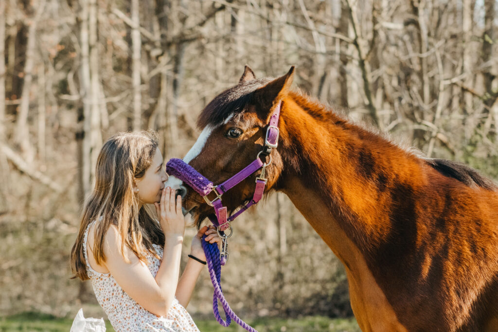 Teen girl in sun dress kisses her pony on the muzzle during barn family photos in Pottstown PA